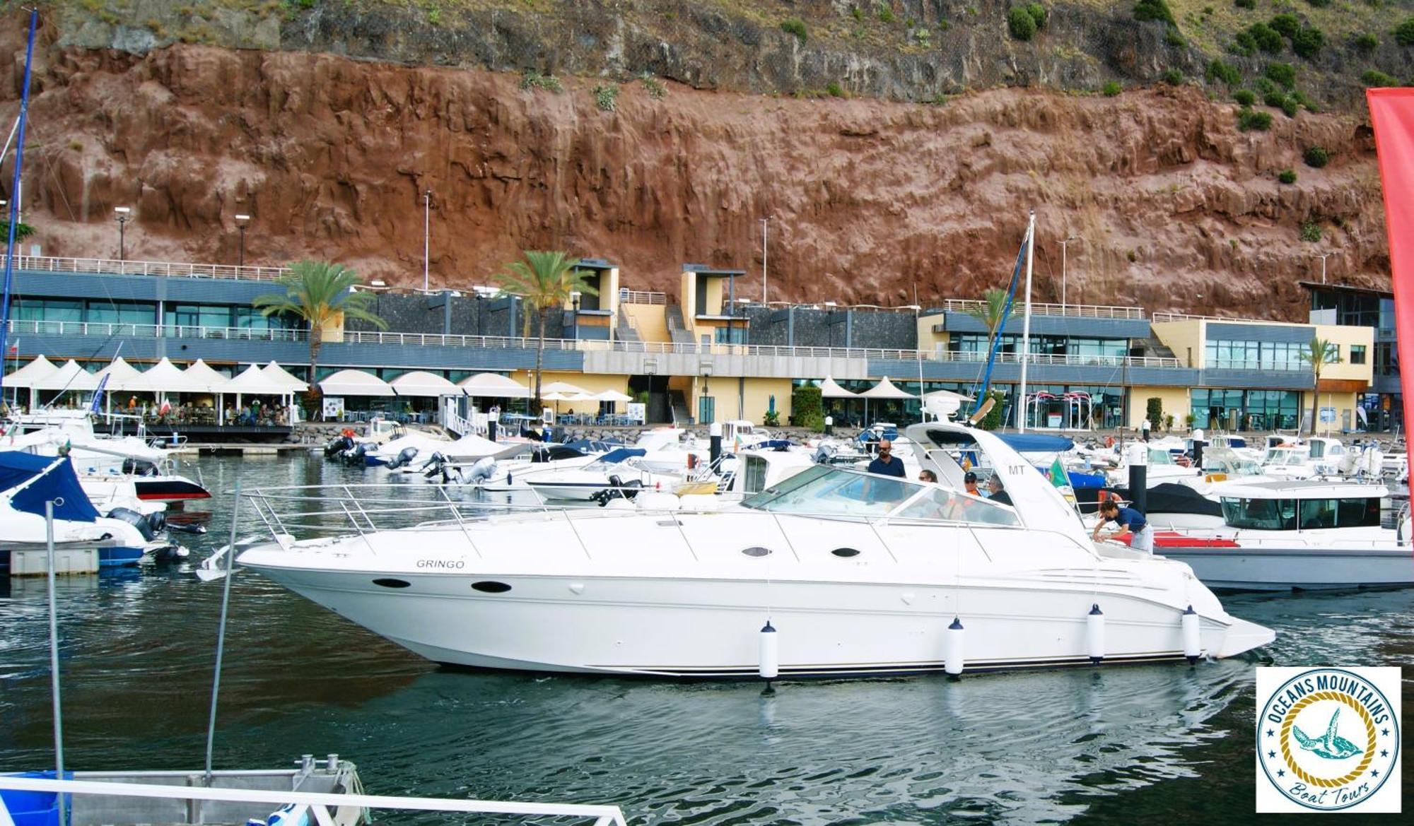 Willa Casa Amarela Funchal  Zewnętrze zdjęcie